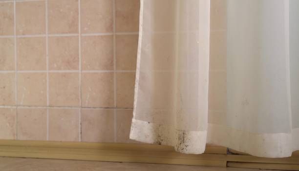Best Mold Remediation for Rental Properties  in Gladstone, OR
